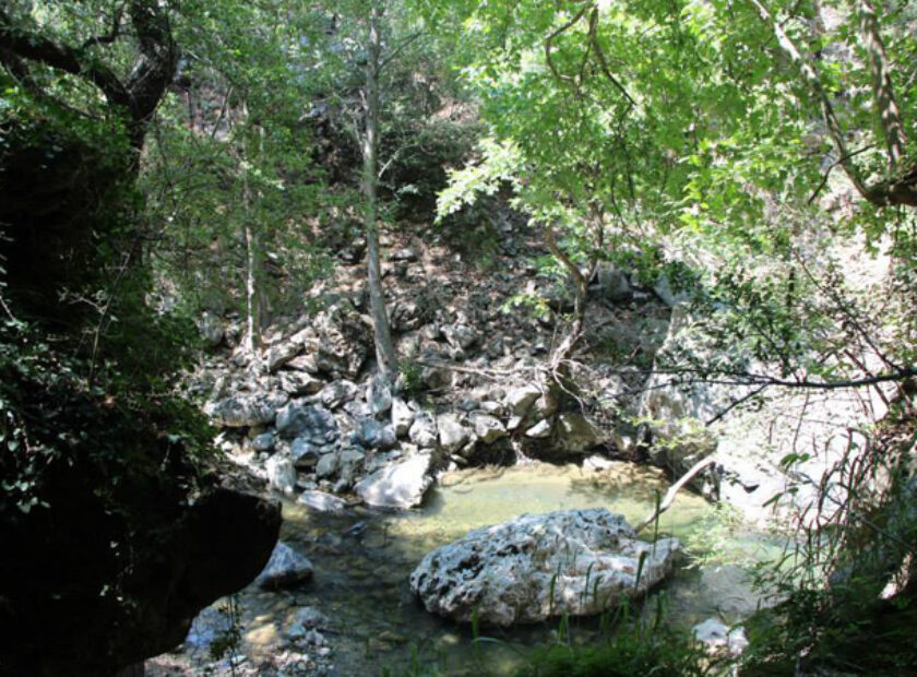 sazak kanyonu cameli